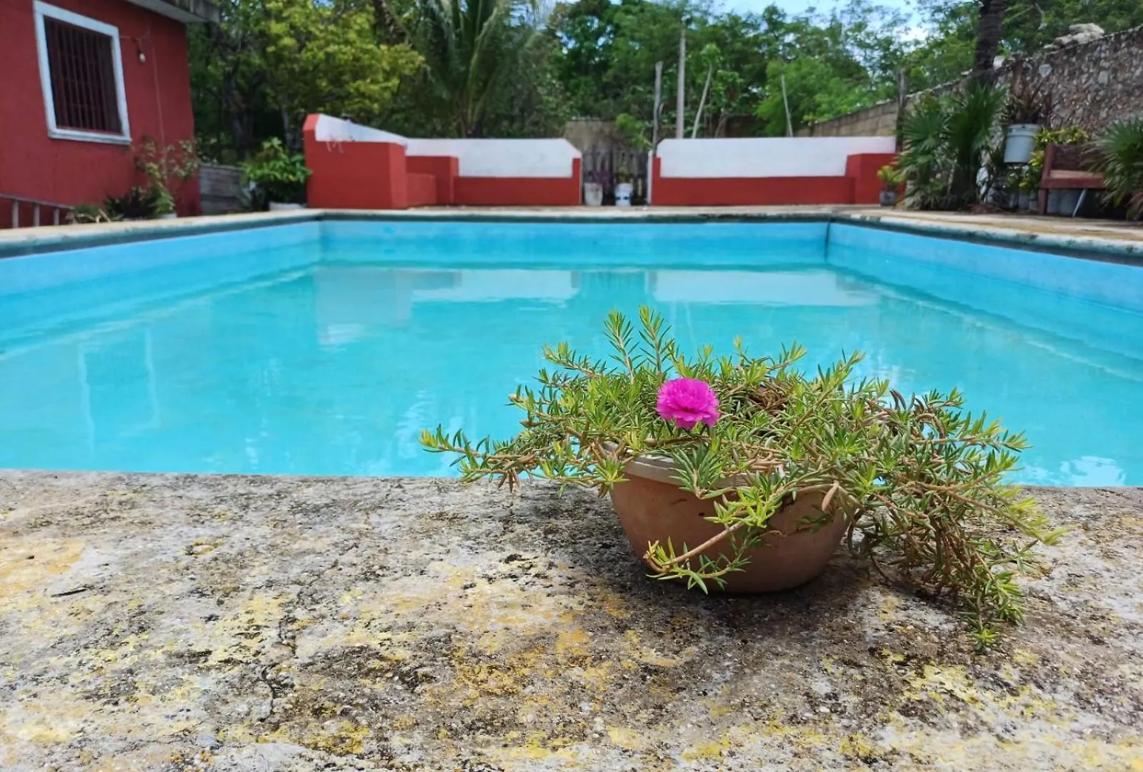 Casona Santa Cruz Palomeque Βίλα Mérida